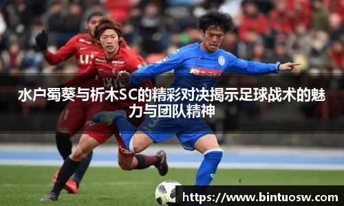 必一运动bsport体育