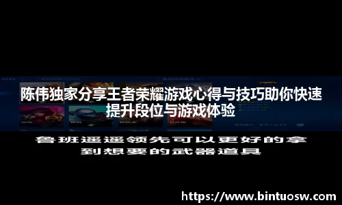 陈伟独家分享王者荣耀游戏心得与技巧助你快速提升段位与游戏体验